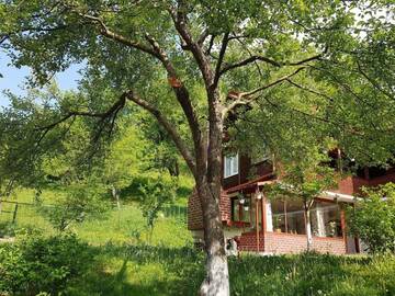 Фото номера Вилла Виллы Casa COLT DE RAI г. Брезой 17